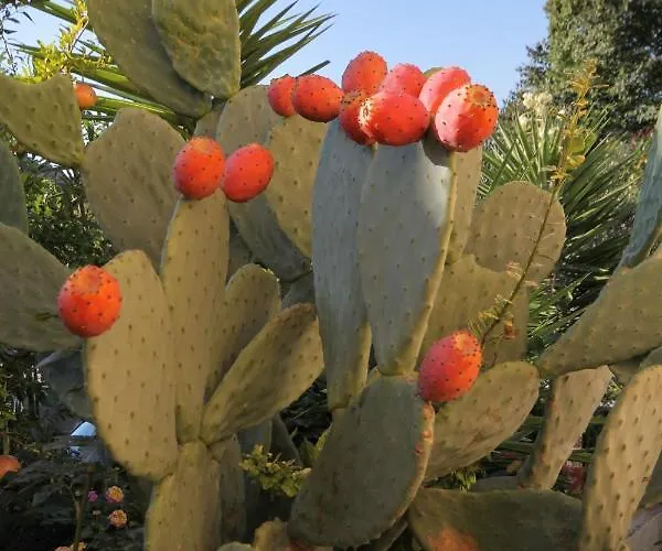 By The Sea Tri Zala, Korcula - 9317 Zrnovo