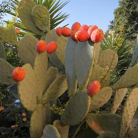 By The Sea Tri Zala, Korcula - 9317 Zrnovo